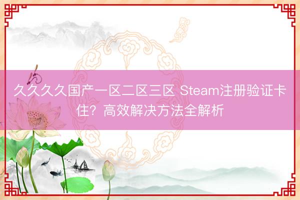久久久久国产一区二区三区 Steam注册验证卡住？高效解决方法全解析