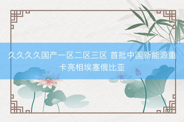 久久久久国产一区二区三区 首批中国新能源重卡亮相埃塞俄比亚