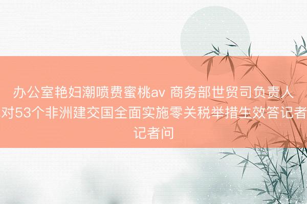 办公室艳妇潮喷费蜜桃av 商务部世贸司负责人就对53个非洲建交国全面实施零关税举措生效答记者问
