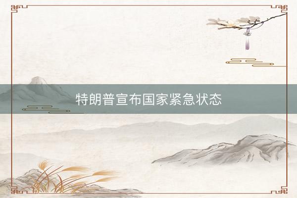 特朗普宣布国家紧急状态