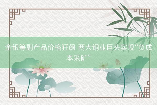 金银等副产品价格狂飙 两大铜业巨头实现“负成本采矿”