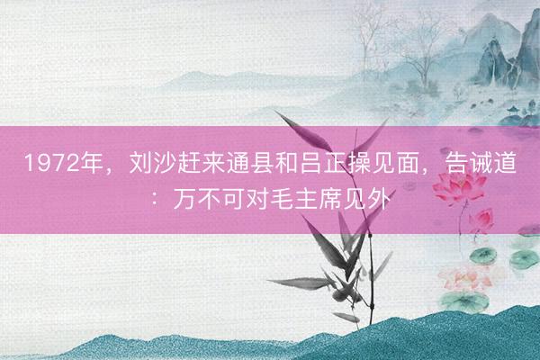 1972年，刘沙赶来通县和吕正操见面，告诫道：万不可对毛主席见外