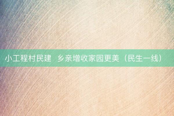 小工程村民建 乡亲增收家园更美(民生一线)
