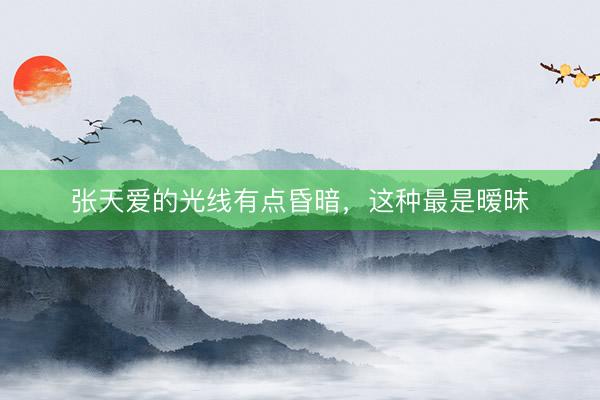 张天爱的光线有点昏暗，这种最是暧昧