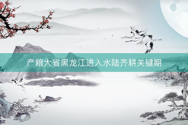 产粮大省黑龙江进入水陆齐耕关键期