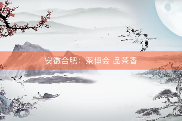安徽合肥：茶博会 品茶香