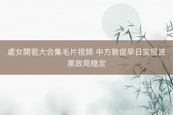 處女開苞大合集毛片视频 中方敦促早日实现波黑政局稳定