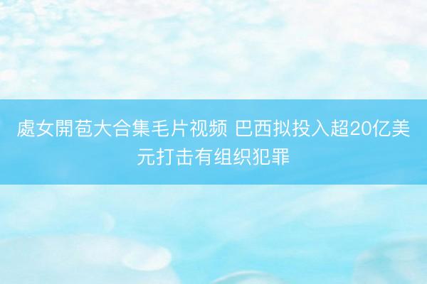 處女開苞大合集毛片视频 巴西拟投入超20亿美元打击有组织犯罪