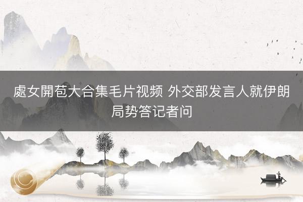 處女開苞大合集毛片视频 外交部发言人就伊朗局势答记者问
