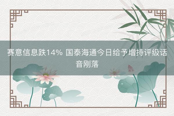 赛意信息跌14% 国泰海通今日给予增持评级话音刚落