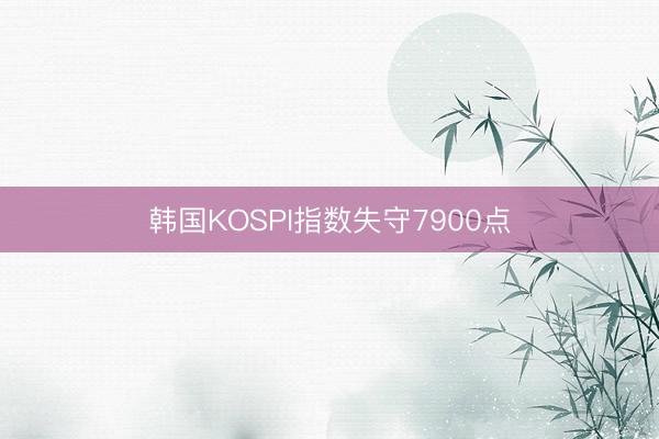 韩国KOSPI指数失守7900点