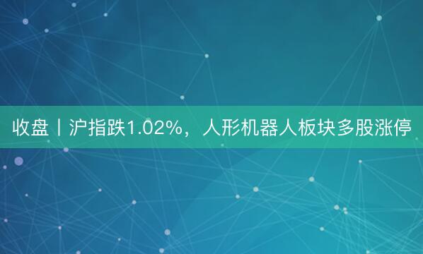 收盘丨沪指跌1.02%，人形机器人板块多股涨停