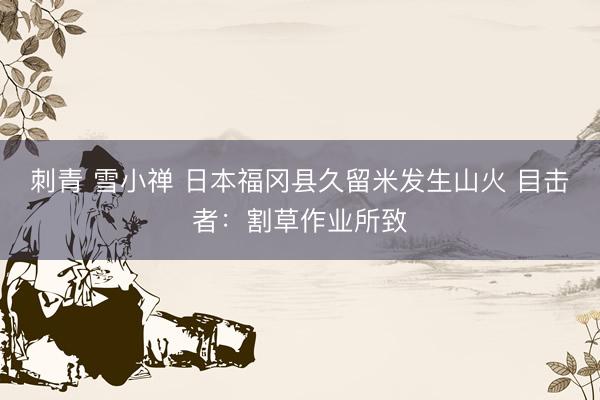 刺青 雪小禅 日本福冈县久留米发生山火 目击者：割草作业所致