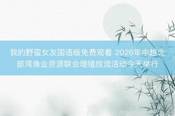 我的野蛮女友国语版免费观看 2026年中越北部湾渔业资源联合增殖放流活动今天举行