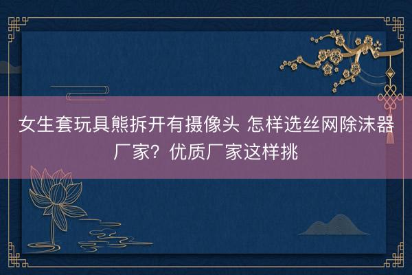 女生套玩具熊拆开有摄像头 怎样选丝网除沫器厂家？优质厂家这样挑