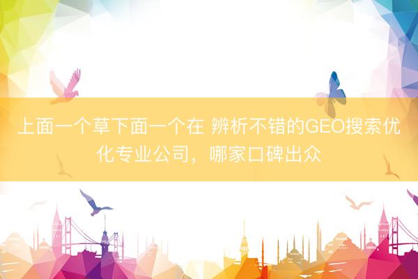 上面一个草下面一个在 辨析不错的GEO搜索优化专业公司，哪家口碑出众