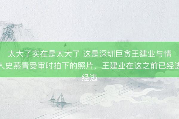 太大了实在是太大了 这是深圳巨贪王建业与情人史燕青受审时拍下的照片，王建业在这之前已经逃