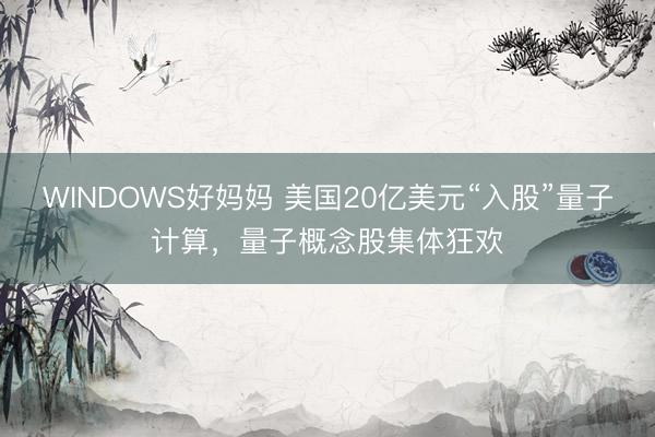 WINDOWS好妈妈 美国20亿美元“入股”量子计算，量子概念股集体狂欢