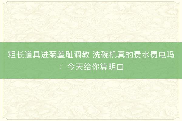 粗长道具进菊羞耻调教 洗碗机真的费水费电吗:今天给你算明白