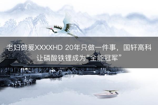 老妇做爰XXXXHD 20年只做一件事,国轩高科让磷酸铁锂成为“全能冠军”