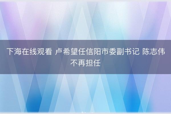 下海在线观看 卢希望任信阳市委副书记 陈志伟不再担任