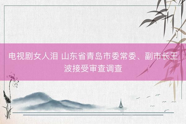 电视剧女人泪 山东省青岛市委常委、副市长王波接受审查调查