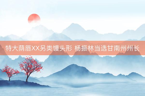 特大荫唇XX另类馒头形 杨振林当选甘南州州长