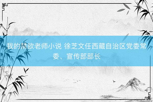 我的禁欲老师小说 徐芝文任西藏自治区党委常委、宣传部部长