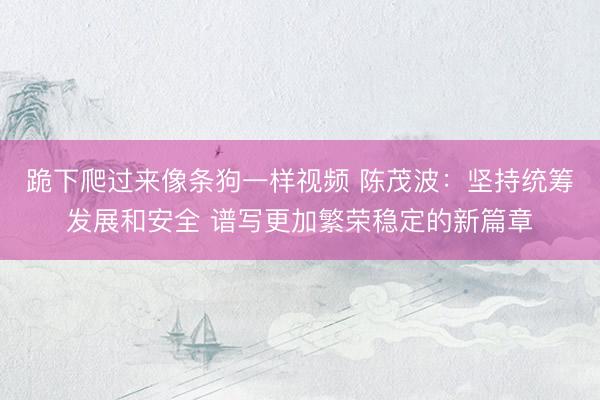 跪下爬过来像条狗一样视频 陈茂波：坚持统筹发展和安全 谱写更加繁荣稳定的新篇章