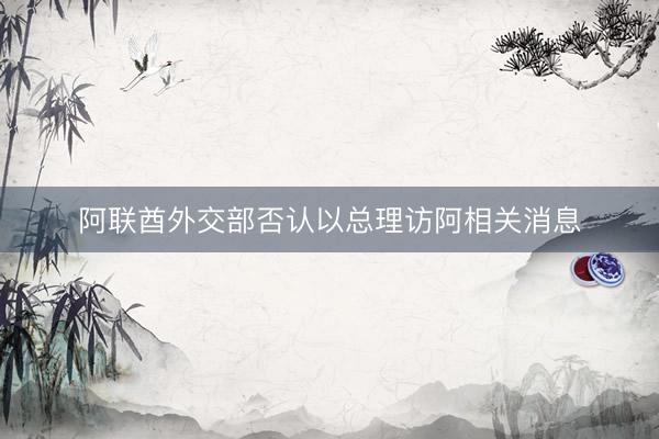 阿联酋外交部否认以总理访阿相关消息