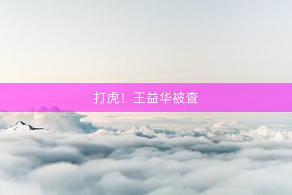打虎！王益华被查