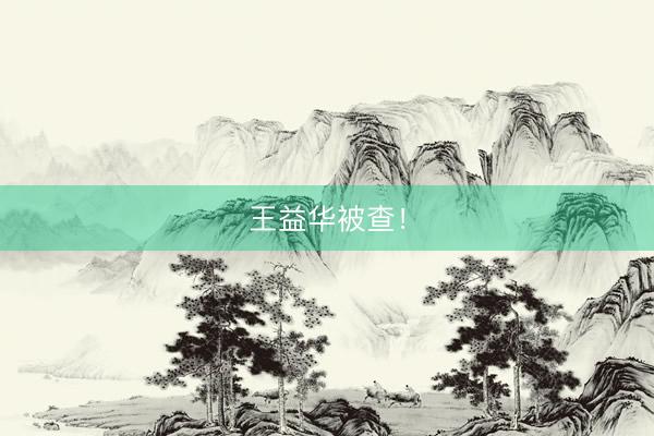 王益华被查！