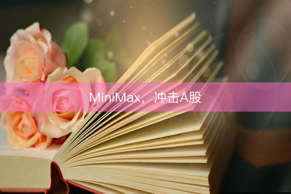 MiniMax,冲击A股