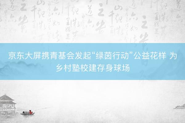 京东大屏携青基会发起“绿茵行动”公益花样 为乡村塾校建存身球场