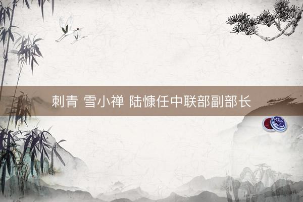 刺青 雪小禅 陆慷任中联部副部长