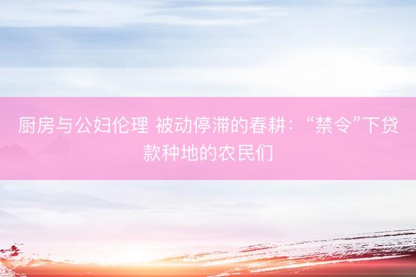 厨房与公妇伦理 被动停滞的春耕：“禁令”下贷款种地的农民们