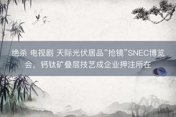 绝杀 电视剧 天际光伏居品“抢镜”SNEC博览会，钙钛矿叠层技艺成企业押注所在