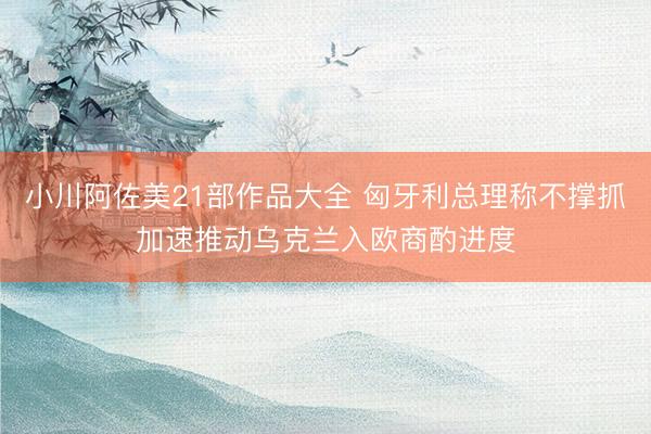 小川阿佐美21部作品大全 匈牙利总理称不撑抓加速推动乌克兰入欧商酌进度