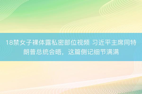 18禁女子裸体露私密部位视频 习近平主席同特朗普总统会晤，这篇侧记细节满满