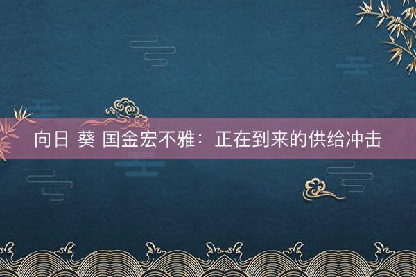 向日 葵 国金宏不雅：正在到来的供给冲击