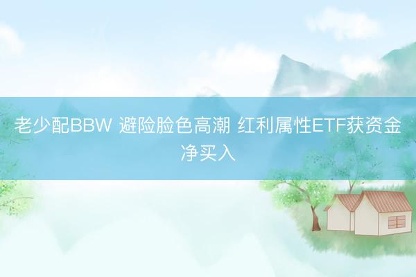 老少配BBW 避险脸色高潮 红利属性ETF获资金净买入
