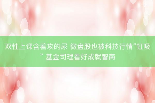双性上课含着攻的尿 微盘股也被科技行情“虹吸” 基金司理看好成就智商