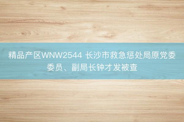 精品产区WNW2544 长沙市救急惩处局原党委委员、副局长钟才发被查