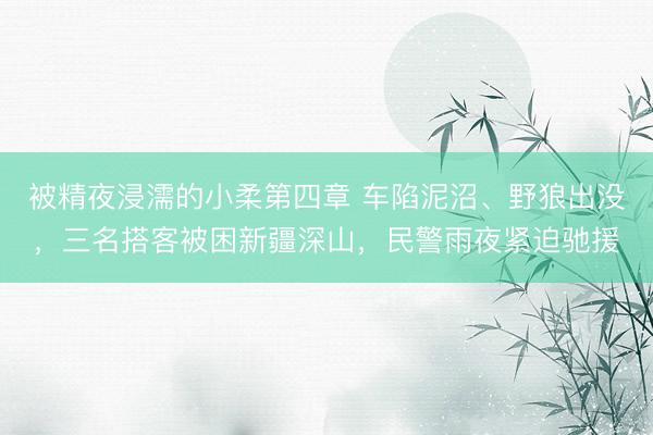 被精夜浸濡的小柔第四章 车陷泥沼、野狼出没，三名搭客被困新疆深山，民警雨夜紧迫驰援