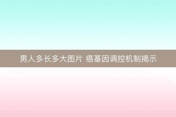 男人多长多大图片 癌基因调控机制揭示